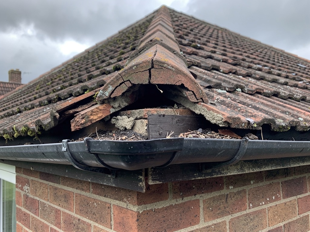 Early warning signs of roof damage